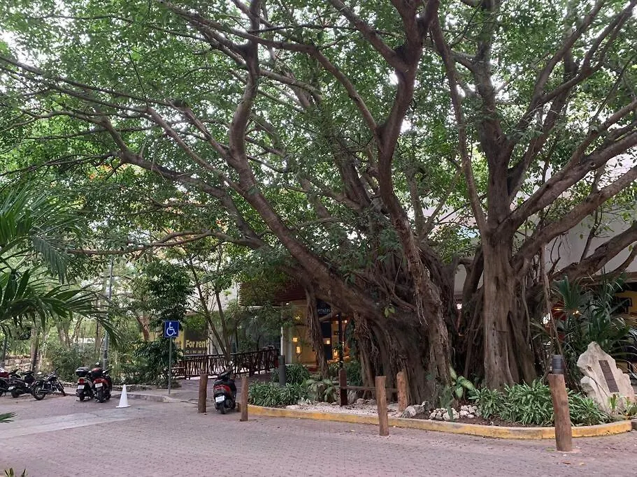 Luxury Condo Between 5Th Avenue And The Beach Playa del Carmen Mexikó