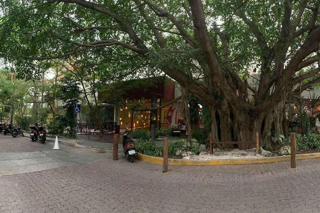 Luxury Condo Between 5Th Avenue And The Beach Playa del Carmen